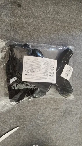 Heelbrook Front-Clip No-Pull Harness photographed by Verified buyer, Israel, a verified buyer